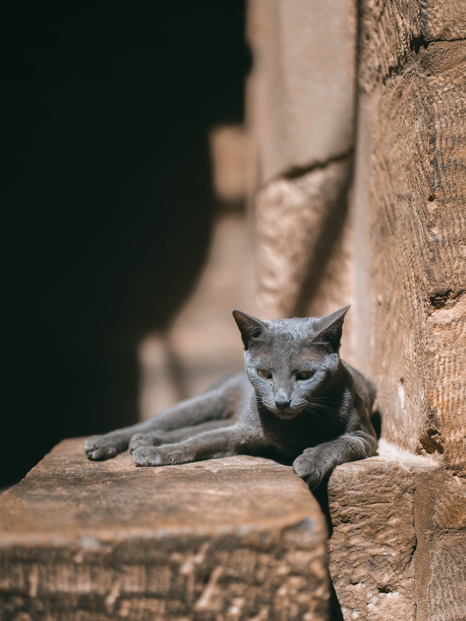 Ushuaïa égyptien — Aswan